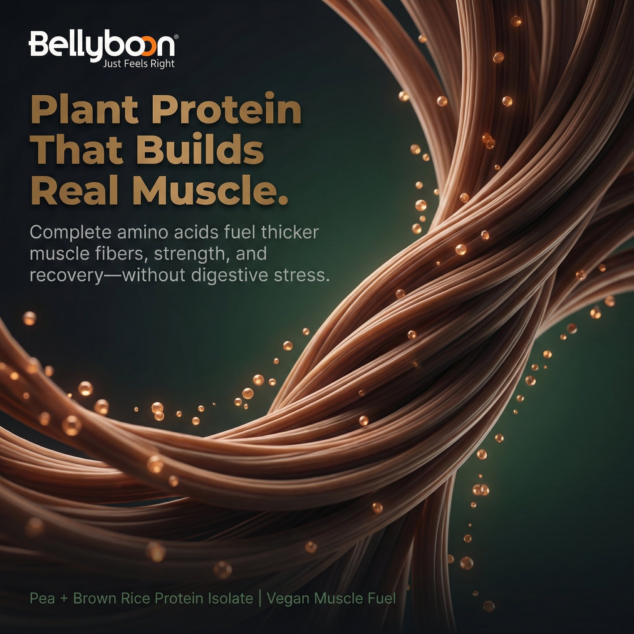 Bellyboon Plant Protein Isolate – Chocolate Flavour | 100% Vegan Protein for Weight Management