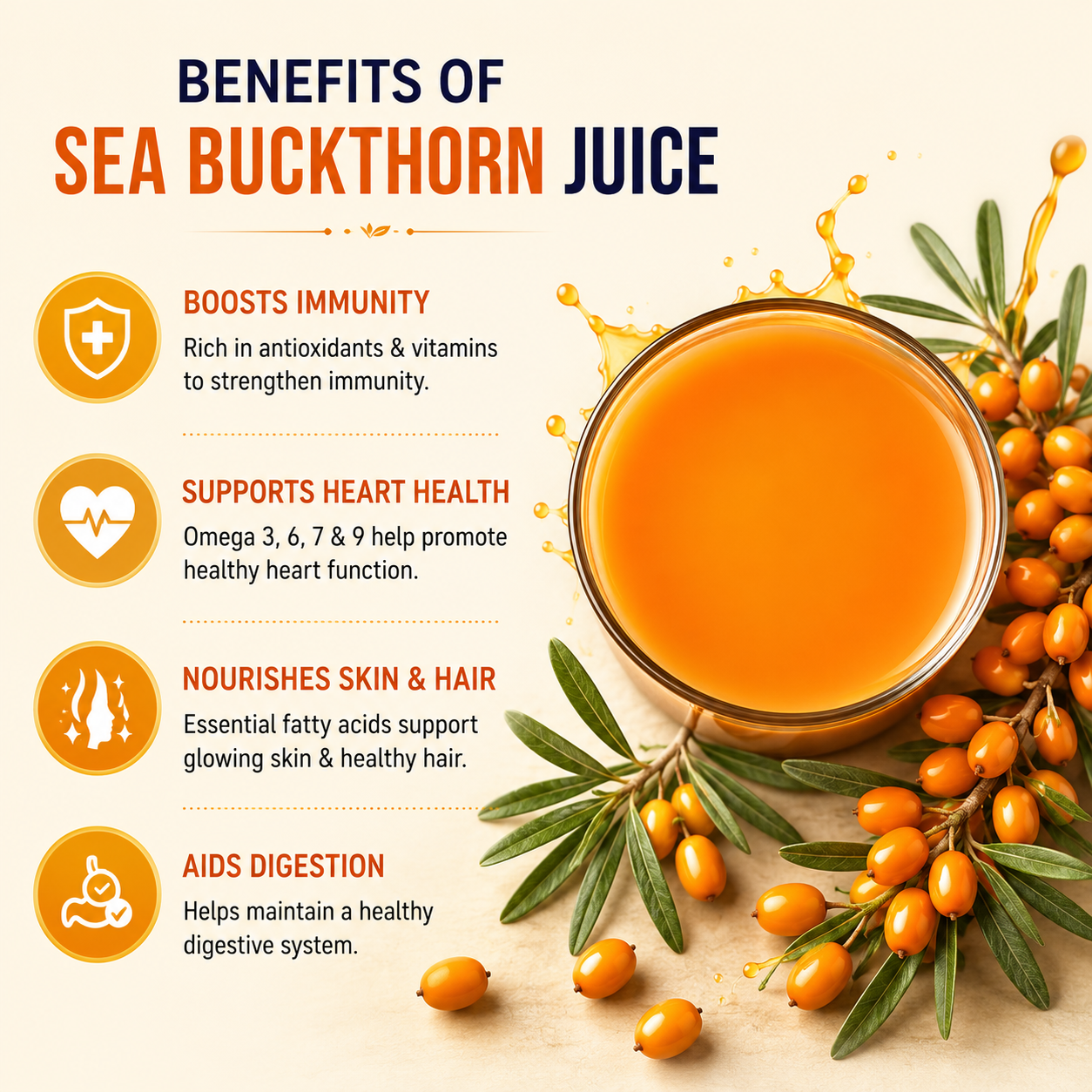 Bellyboon Sea Buckthorn Juice 500ml | Rich in Omega 3, 6, 7 & 9 | Sugar Free